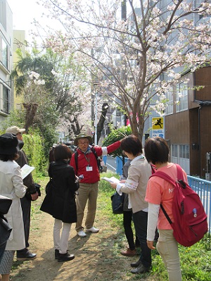 としま案内人長崎町ガイドツアー「千川上水跡まち歩き」