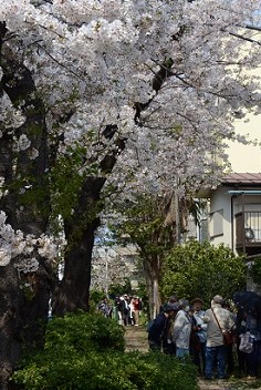 としま案内人長崎町ガイドツアー「千川上水跡まち歩き」