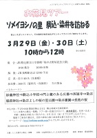 としま案内人駒込･巣鴨ガイドツアー
「お花見ツアー『ソメイヨシノの里 駒込･染井を訪ねる』」