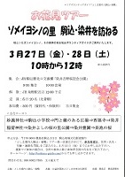 としま案内人駒込・巣鴨ガイドツアー
お花見ツアー「ソメイヨシノの里 駒込・染井を訪ねる」