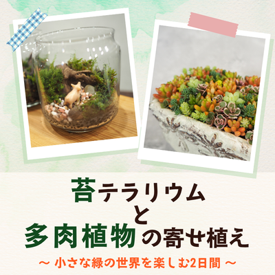 【107】苔テラリウムと多肉植物の寄せ植え
 ～小さな緑の世界を楽しむ2日間～