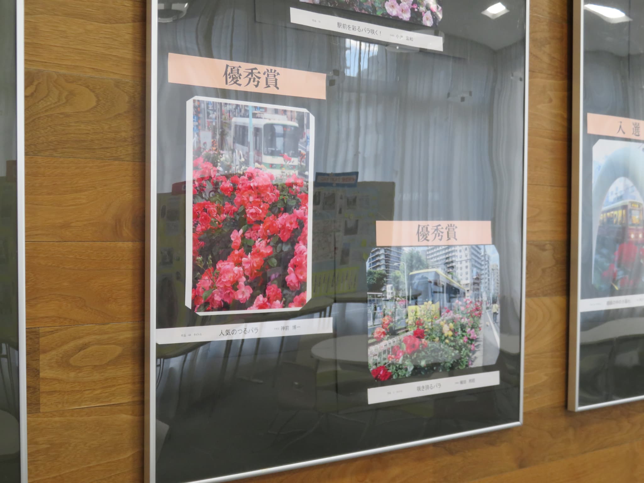 南大塚ロビー展示「令和6年度　第11回大塚バラまつりフォトコンテスト受賞作品展」