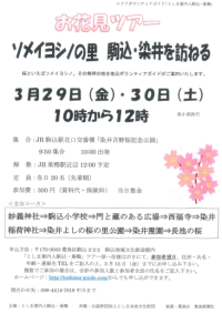 としま案内人駒込･巣鴨ガイドツアー
「お花見ツアー『ソメイヨシノの里 駒込･染井を訪ねる』」