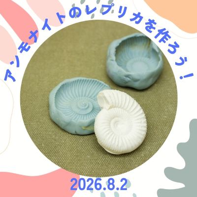 【205】子ども文化カレッジ　アンモナイトのレプリカを作ろう！