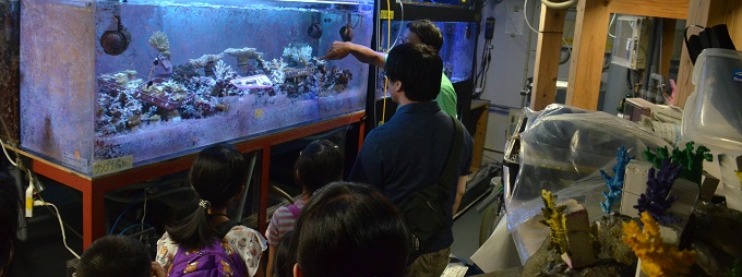 夏休み親子講座「水族館のヒミツ!