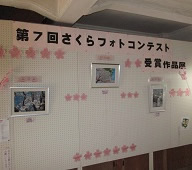 「第7回・第8回 さくらフォトコンテスト」応募作品展