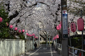 駒込小学校