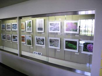 自主サークル作品展示