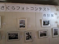 「歴代 さくらフォトコンテスト」受賞作品展