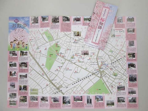 桜物語2015