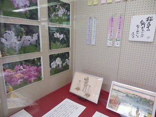 千川上水公園花と歴史フェア展示風景2