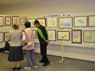 展示の様子